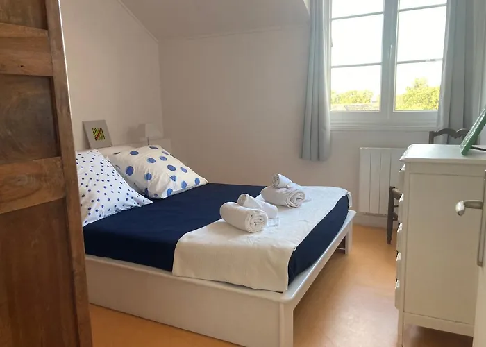 Gite Bon Accueil, 3 Etoiles, Souzay-Champigny 49